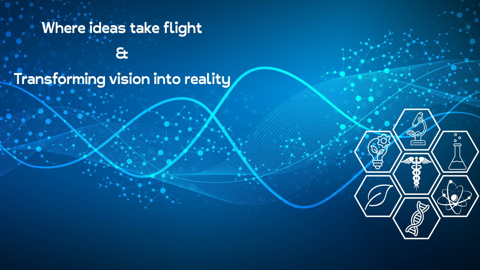 WhatsApp Image 2025-11-27 at 3.14.06 PM