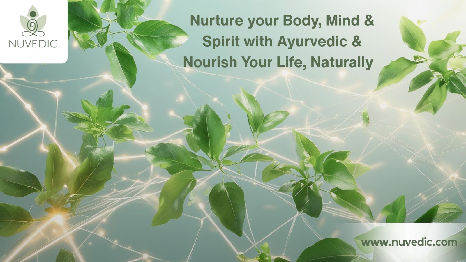 WhatsApp Image 2025-11-27 at 3.42.36 PM (1)